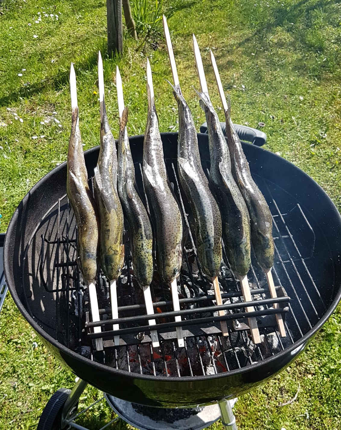 mit sieben Fischen